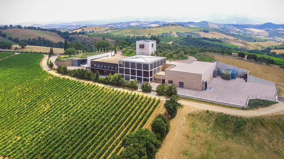 Montecucco DOC e DOCG: la guida al vino dell'Amiata che in pochi conoscono