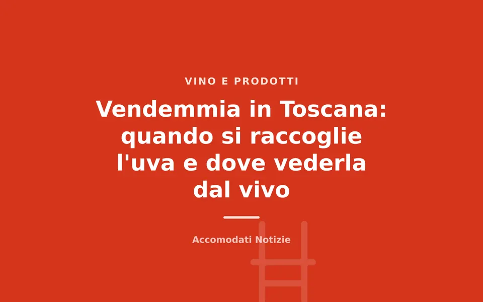 Vendemmia in Toscana: quando si raccoglie l'uva e dove vederla dal vivo