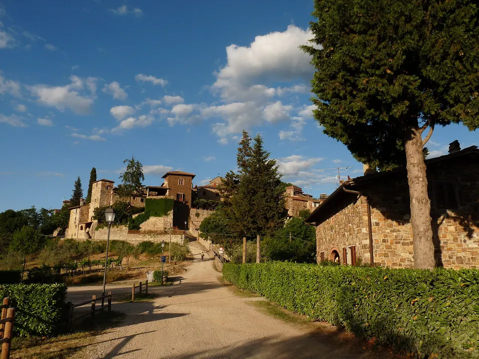 Sagre del weekend 25-27 settembre: vino a Montefioralle, funghi a Pontassieve e San Miniato