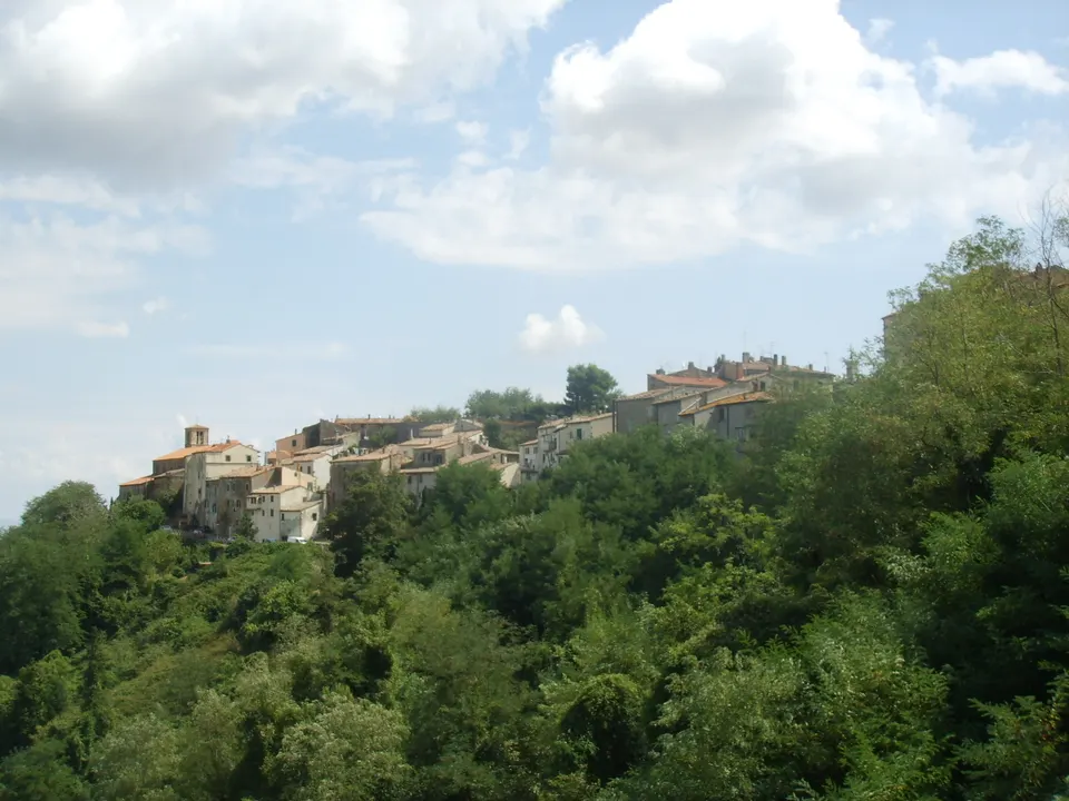 Morellino di Scansano e cinghiale: l'abbinamento classico e dove trovarlo