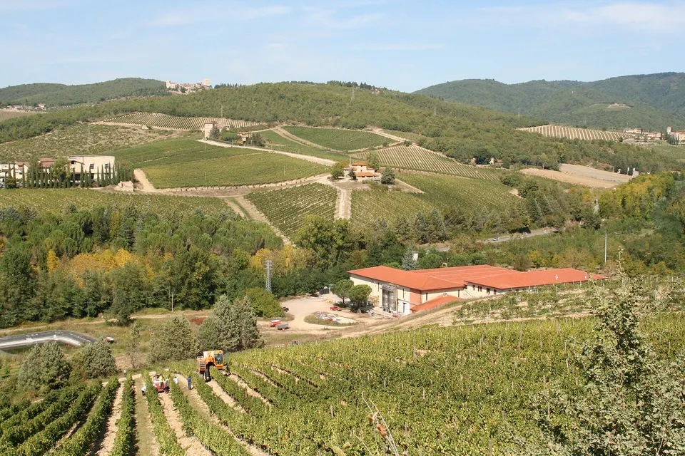 Festa della Vendemmia Bio a San Casciano in Val di Pesa il 18 ottobre
